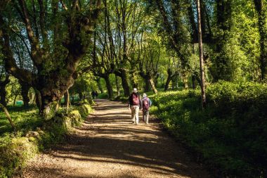 Santiago yolu Grove ağaçları arasında turistler hacılar Çift.