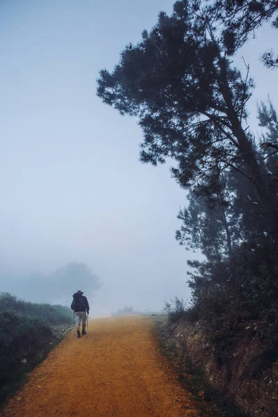 Dawn je misty mlha ráno v horách. — Stock fotografie
