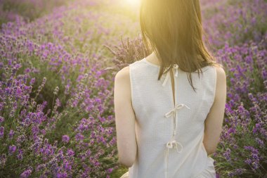 Lavanta alan on Sunset. 