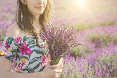 Lavanta tarlasında güzel genç bir kadın. 