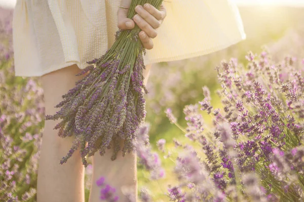 Mano della donna tenendo bel mazzo di fiori di lavanda . — Foto Stock