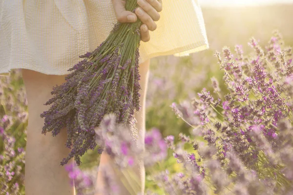 Die Hand der Frau hält einen schönen Strauß Lavendelblüten. — Stockfoto
