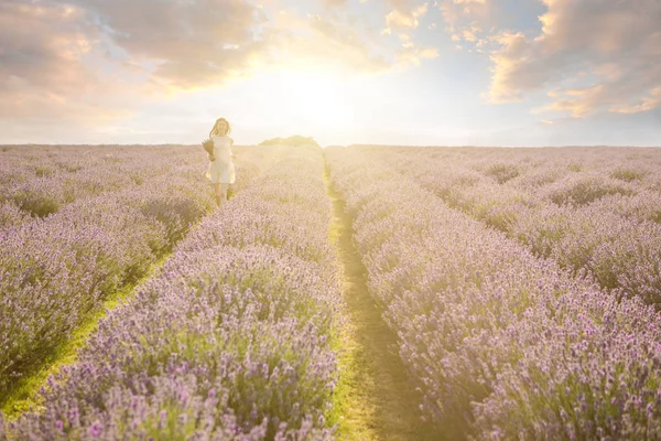 Rozkošný slim nabídka žena běží na slunce levandule pole. — Stock fotografie