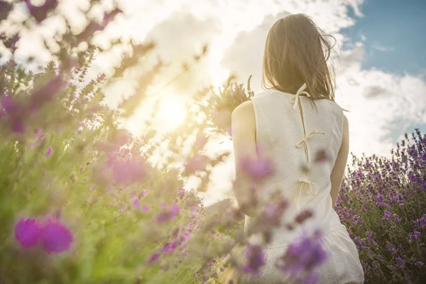 Kvinna i blommande lavendelfält. — Stockfoto