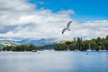 Cumbria, İngiltere İngiltere. Windermere. 