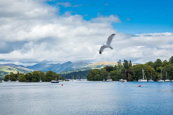 Cumbria, İngiltere İngiltere. Windermere. 