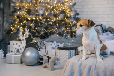 Happy Christmas ve yeni yıl tatilleri!