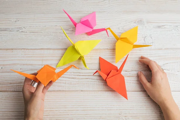 Origami. Turuncu ve kırmızı kuş figürler Japon büyüleyici sanat kağıt