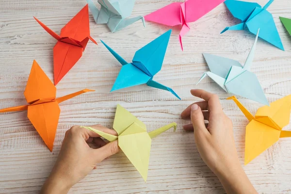 Renkli kağıt kuş figürler Japon büyüleyici sanat. Kuş tutan eller kadın. Üstten Görünüm