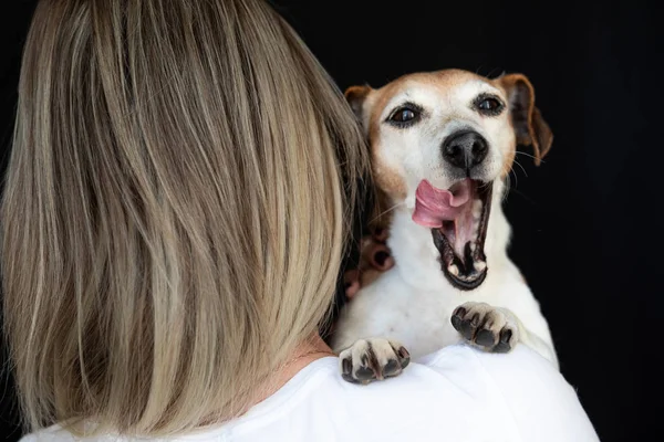 Uroczy Liżący Pies Podgląda Kobietę Przez Ramię Piesek Przytulający Właściciel — Zdjęcie stockowe