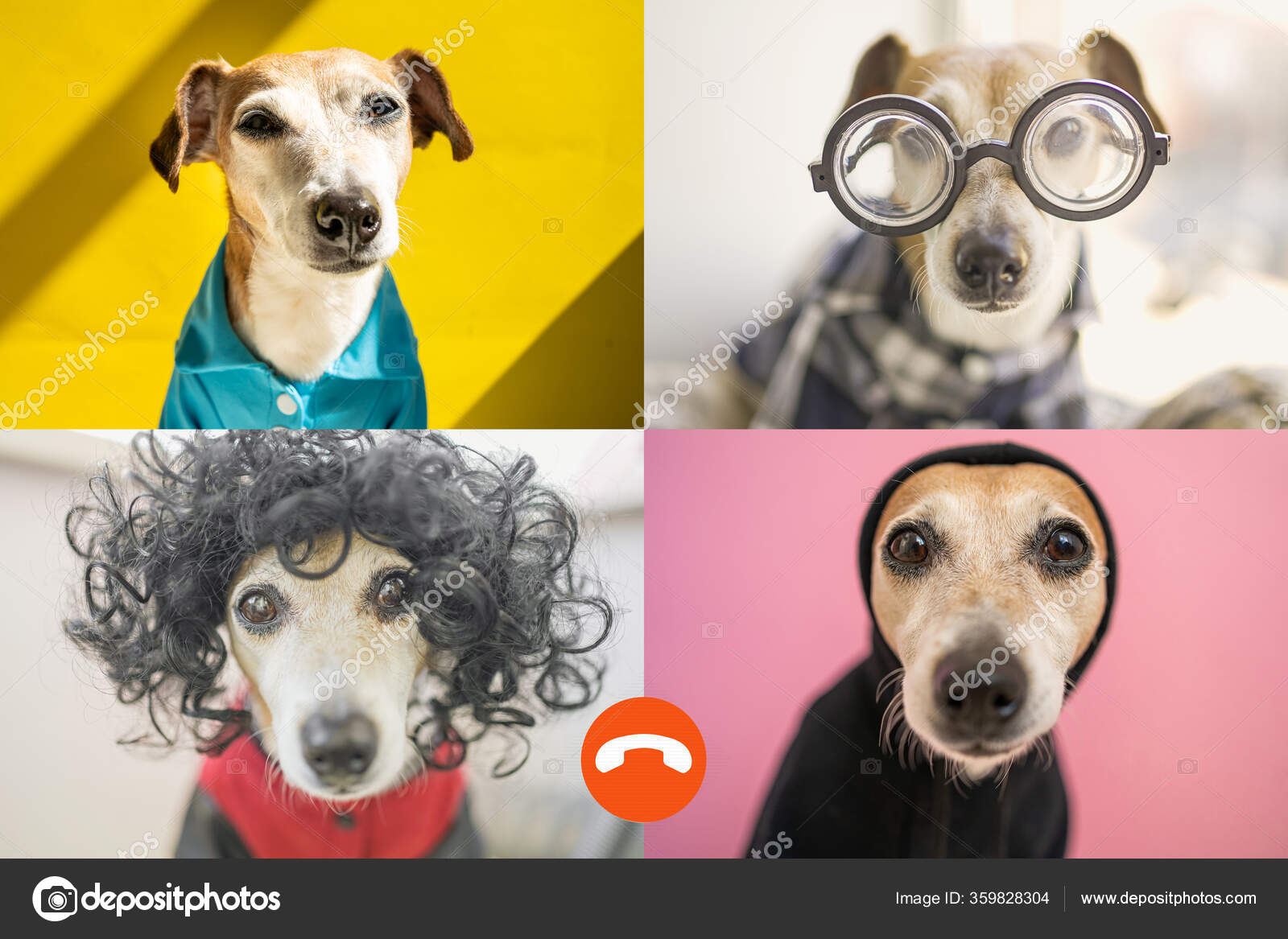 Funny Copy Online Group Chat Conference Remotely Chat Room Application Stock Photo By C Flydragonfly