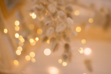 Bulanık Noel ışıklarının arka planına karşı narin Altın Renk