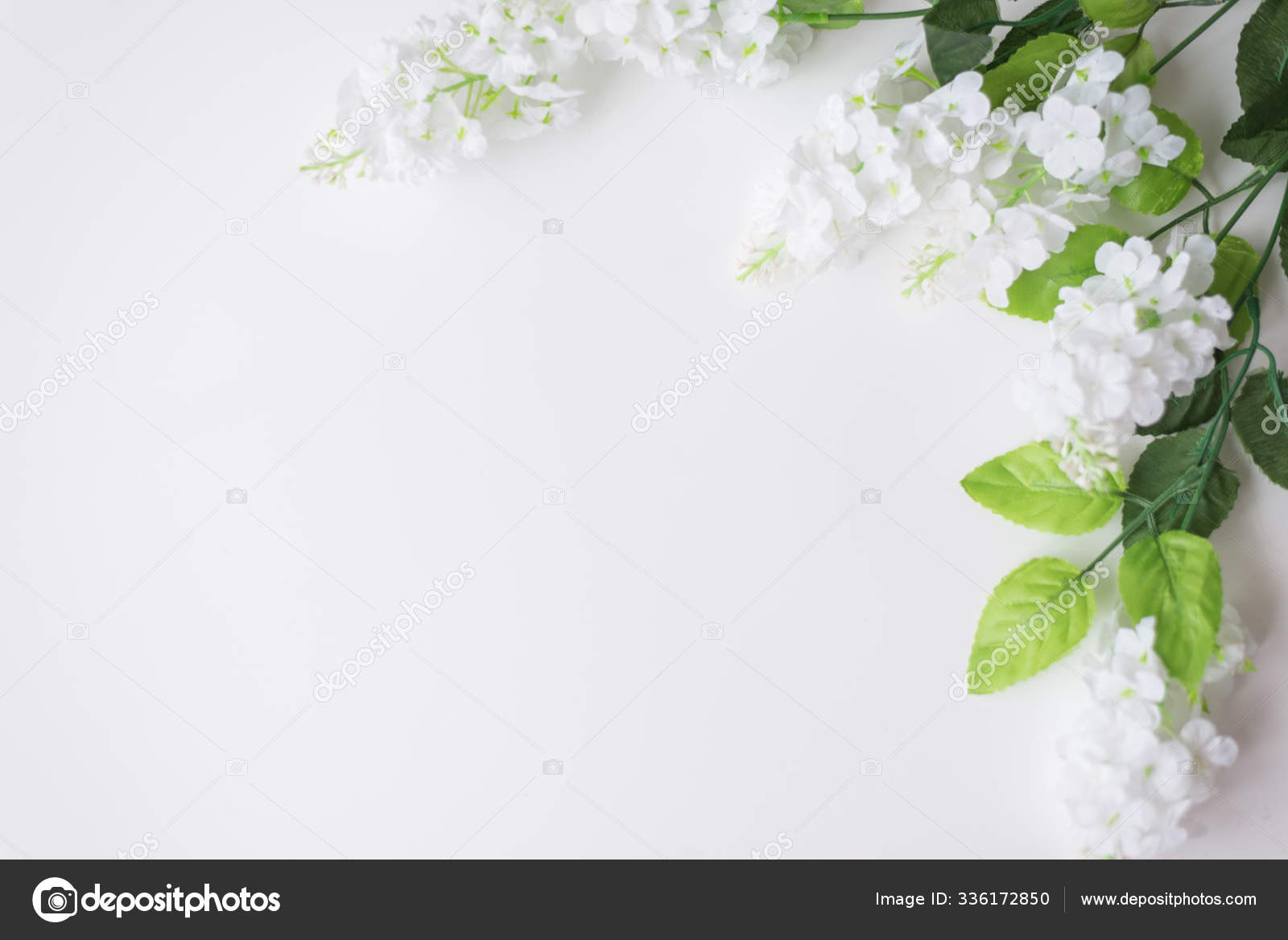 98 Background Putih Bunga Images - MyWeb