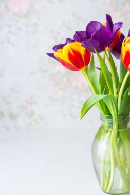 Vazoda çok renkli laleler var. Bahar tatili buketi.