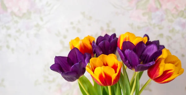 Purple Red Yellow Tulips Close Spring Flower Background — Stock Photo, Image
