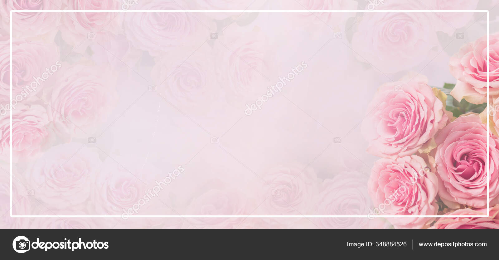 Blomsterramme Banner Delikat Kort Med Rosa Roser Myk Hvit Rosa – stockfoto  © milina777@mail.ru #348884526, image size:1600x836