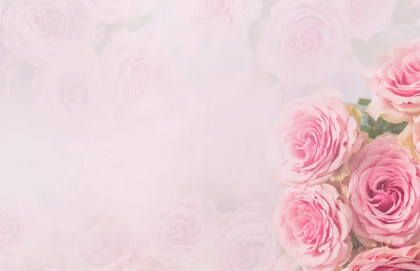 精致的卡片 粉红的玫瑰 柔和的白色和粉色背景 案文的篇幅 — 图库照片