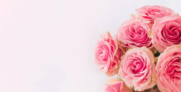 Marco Flores Estandarte Delicada Tarjeta Con Rosas Rosadas Sobre Fondo — Foto de Stock