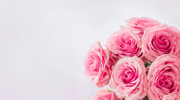 Cadre Fleuri Bannière Carte Délicate Avec Des Roses Roses Sur — Photo
