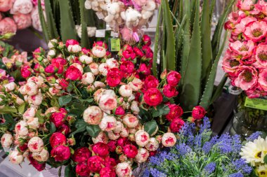 Satılık plastik vitrinlerden yapılmış renkli yapay çiçekler.