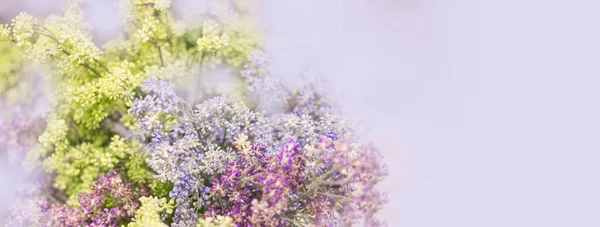 Sztandar Kwiatowy Kolorze Liliowym Witajcie Tle Karty Podarunkowej Wzór Pocztówek — Zdjęcie stockowe