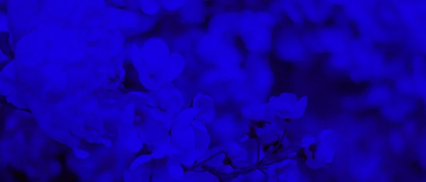 古典的なブルーパントンの色庭の背景に葉 — ストック写真