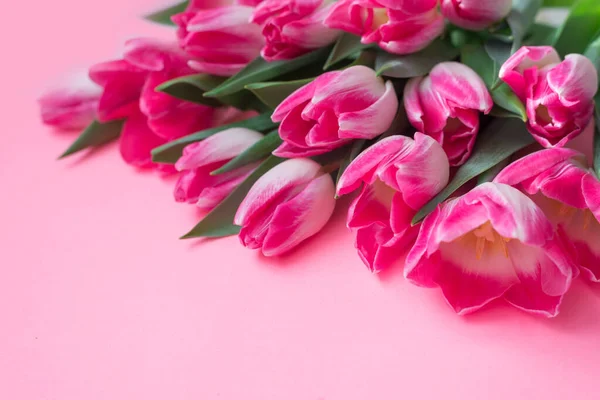 Tarjeta Primavera Con Tulipanes Rosa — Foto de Stock