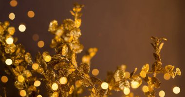 Kahverengi arka planda altın desenler. Çikolata renkli dokuda Bokeh ışıkları