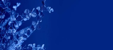 bir desen ile mavi arkaplan.