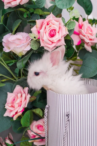 Small Rabbit Basket Background Flowers Fluffy Easter Bunny — Stock Photo, Image