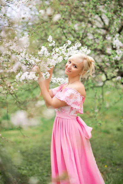 Красива Блондинка Довгій Рожевій Сукні Ходить Весняному Квітучому Саду — стокове фото