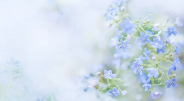 beautiful banner Wallpaper in soft blue with colors and space for text.