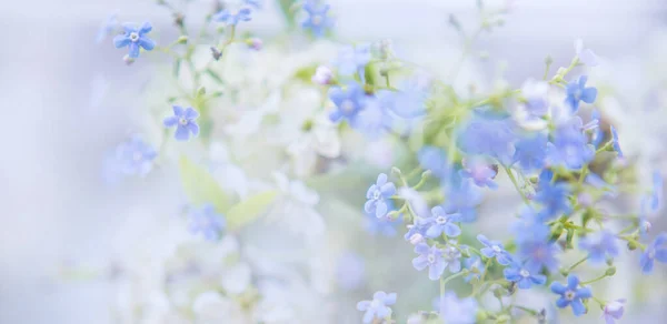 Bellissimo Banner Carta Parati Morbido Blu Con Colori Spazio Testo — Foto Stock