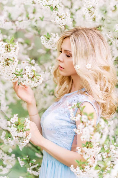 Дівчина Блакитній Сукні Весняному Саду Тлі Білих Квітів — стокове фото