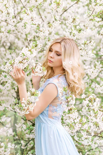 Жінка Довгій Блакитній Сукні Весняному Саду Ніжна Фотографія Білими Квітами — стокове фото