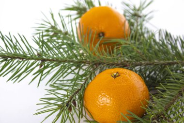 Beyaz arka planda firavun ağacı mandalinaları ve süslemeleri. Yeni yıl tebrik kartı..