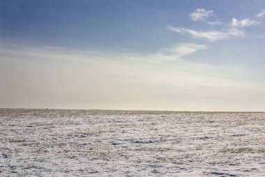 Güneşli bir kış gününde buğdaylı karlı bir tarla. Beyaz kar ve mavi gökyüzü.