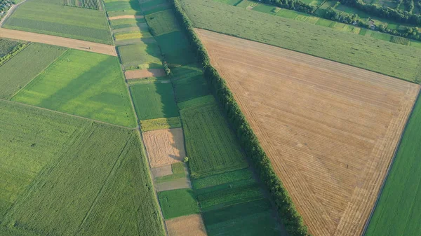 Bosstrook en groene velden zijn vanuit de lucht. aërosol. — Stockfoto