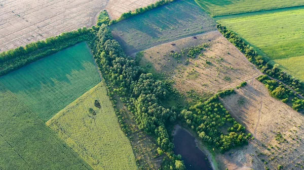Grasland en groen ingezaaide velden, bomen en rivierstanden verwijderd van een hoogte. — Stockfoto