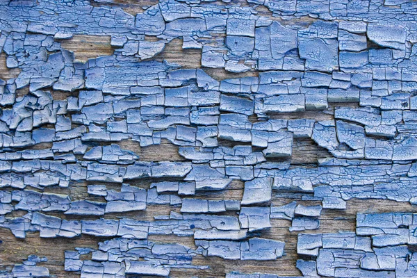 Abstraction of the body of old blue cracked paint on a wooden surface.