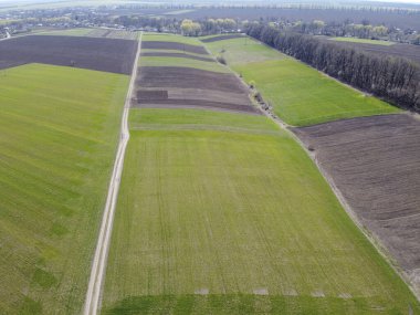 Baharda yaprakları olmayan yeşil mahsul, tahıl ve ağaçlardan oluşan küçük alanlar.