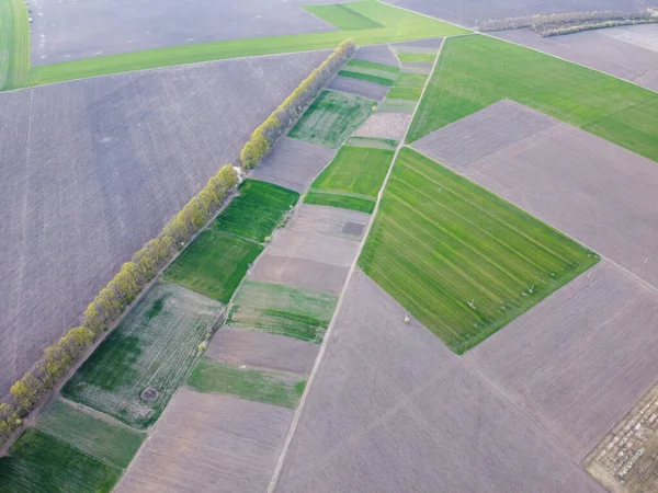 Kleine Landbouwplantages Met Verschillende Gewassen Teelten Het Platteland — Stockfoto