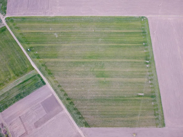 Buğday Ekme Alanı Kötü Ekin Yetiştirme Kötü Hava Bahar Donmaları — Stok fotoğraf
