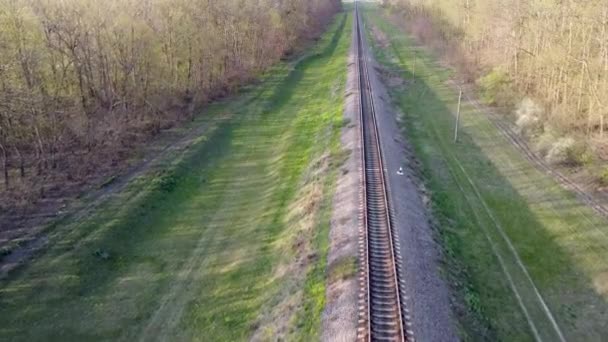 Volo Rotaie Traversine Ferroviarie Primavera Quando Erba Verde Viaggiare Treno — Video Stock