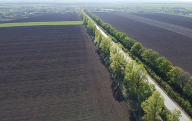 Bir tarla ekildi ve tarlanın yanından geçen bir yol, yeşil ağaçlar, güneşli bir bahar günü.