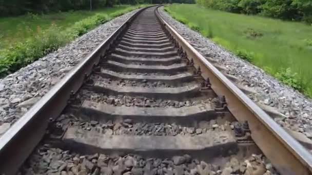 Tráfego Nas Vias Férreas Natureza Verde Ambos Lados Trilhos Que — Vídeo de Stock