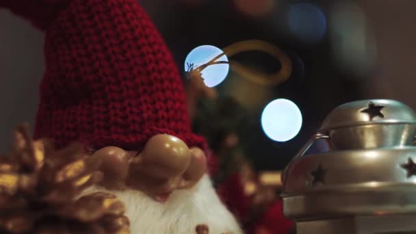 Close-up of face of toy gnome against background of green Christmas tree, spruce — 비디오