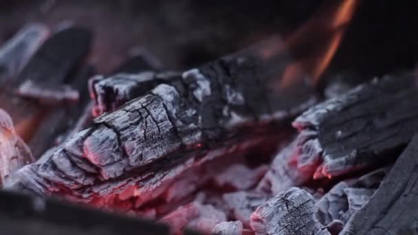 Embers, burning firewood and ashes, sparks in the wind in a barbecue, in a fire. — Stok video