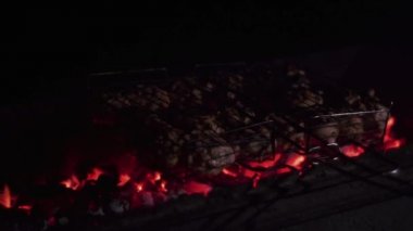 Izgara, ateş, barbekü, kızarmış et, domuz, tavuk ızgarada, şiş, kömür.