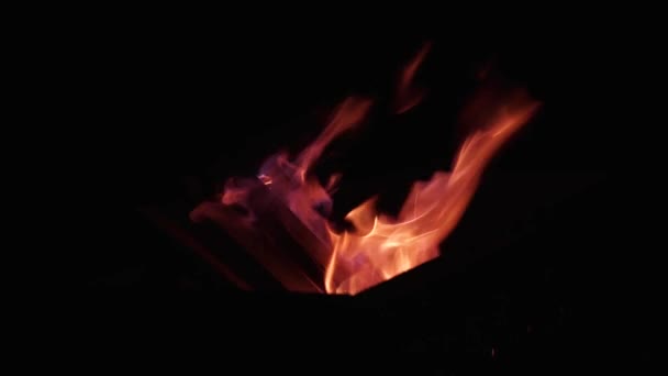 Τη νύχτα, στο δρόμο, στο μαγκάλι, τα καυσόξυλα καίγονται με μια κόκκινη-μπλε φλόγα — Αρχείο Βίντεο